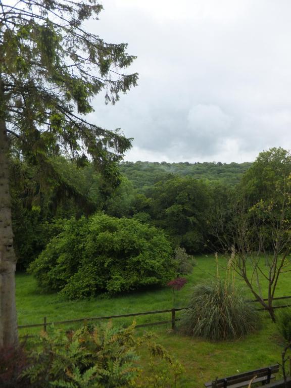 Bed and Breakfast Shrubdown Freshford Exteriér fotografie