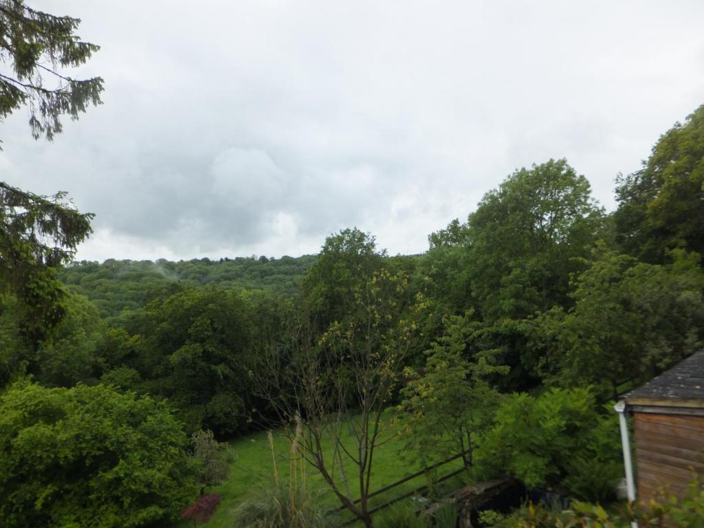 Bed and Breakfast Shrubdown Freshford Exteriér fotografie